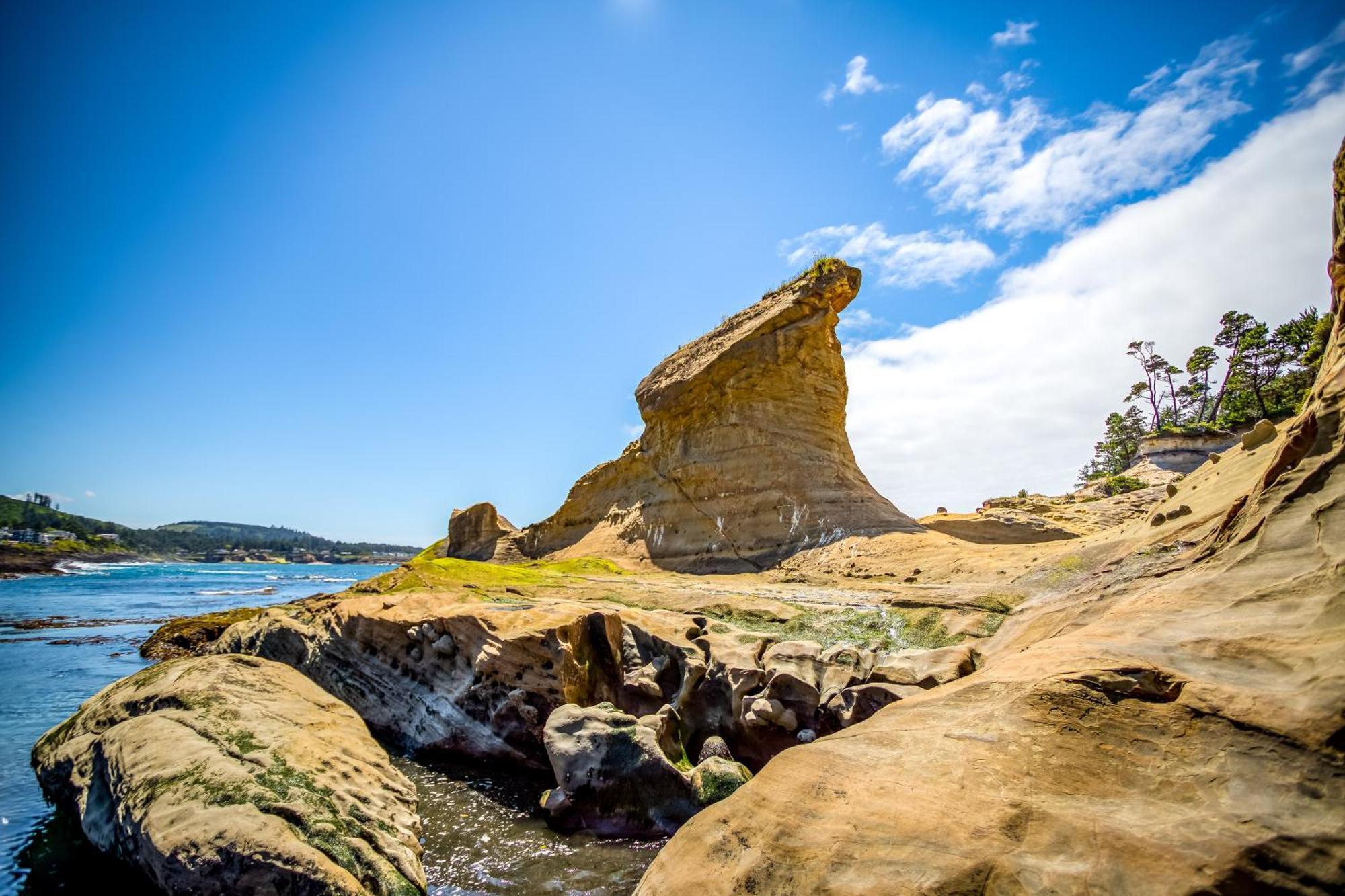Whale'S Paradise Depoe Bay Zewnętrze zdjęcie